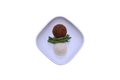 Korean BBQ Beef with Jasmine Rice & Green Beans
